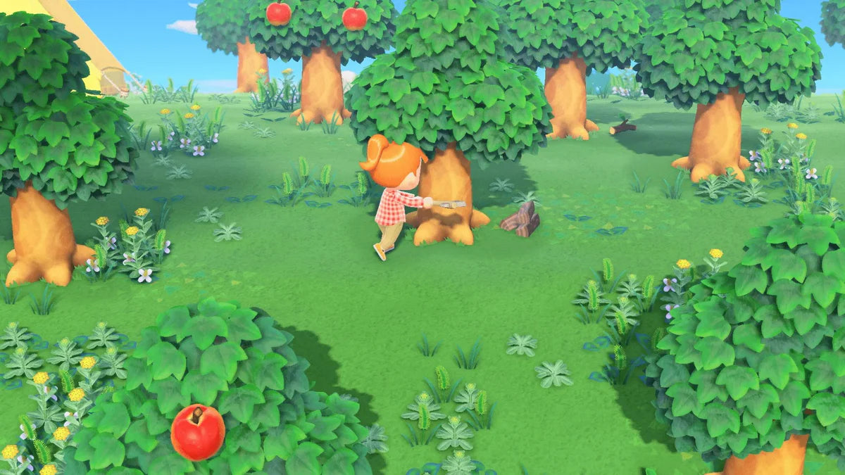 NS2 Animal Crossing: New Horizons - Nintendo Switch 2 Edition