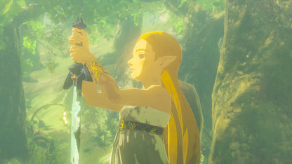 NS2 The Legend of Zelda: Breath of the Wild - Nintendo Switch 2 Edition