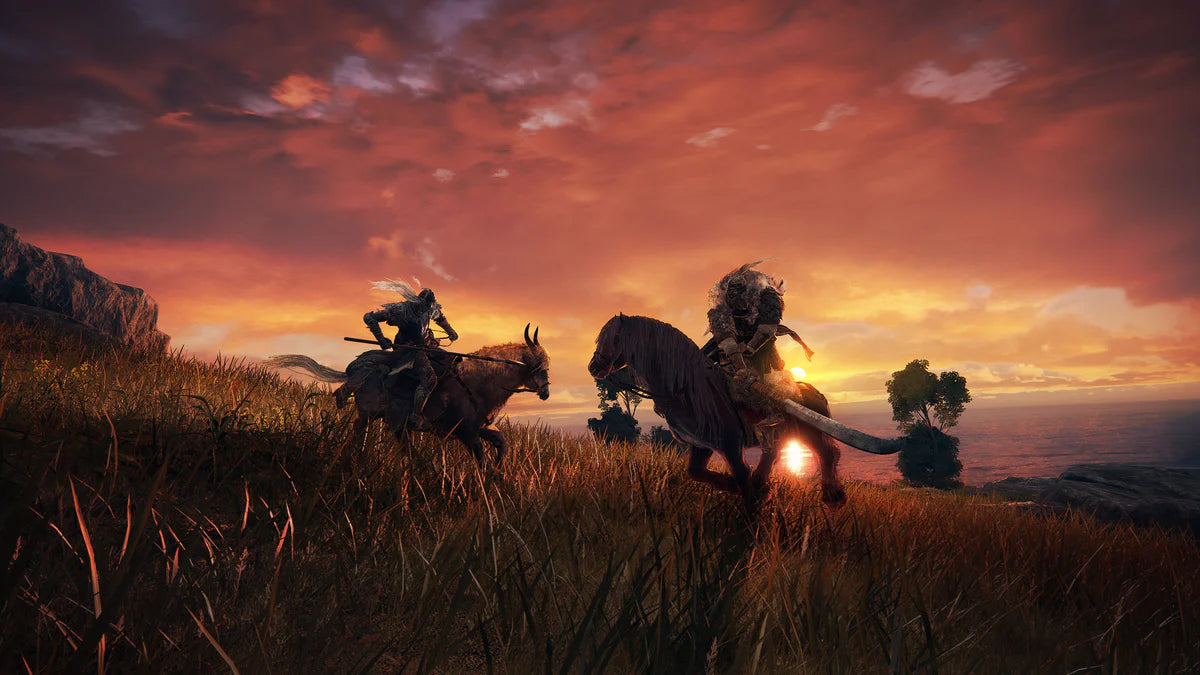 PS5 Elden Ring (NC16)