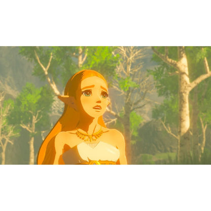 NSW The Legend Of Zelda: Breath Of The Wild