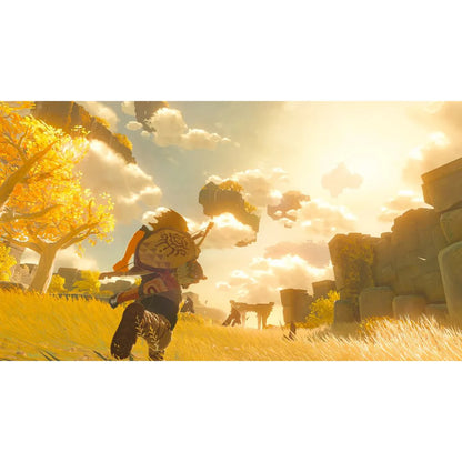 NSW The Legend of Zelda: Tears of the Kingdom